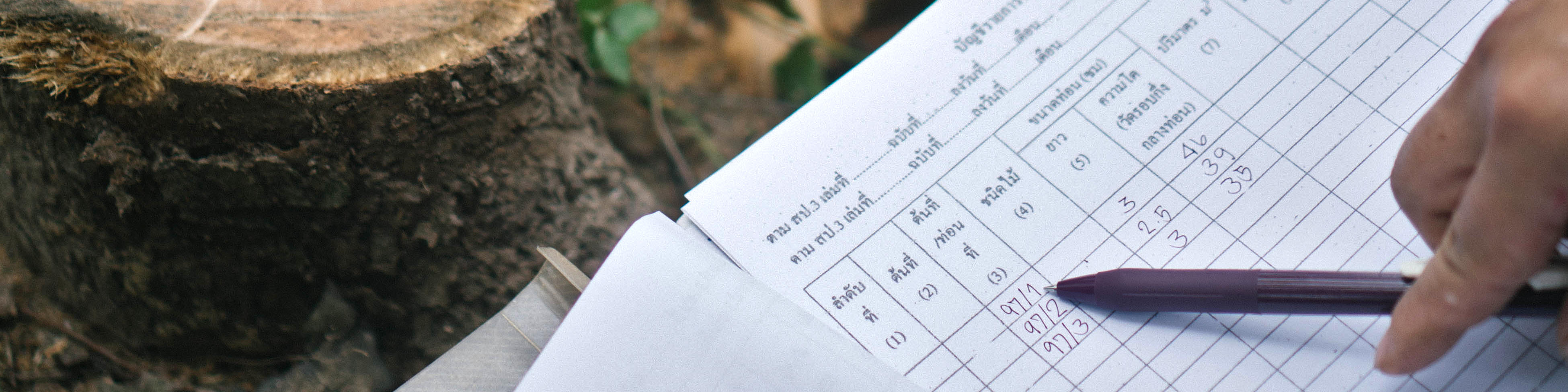 การติดตามป่าของชุมชน