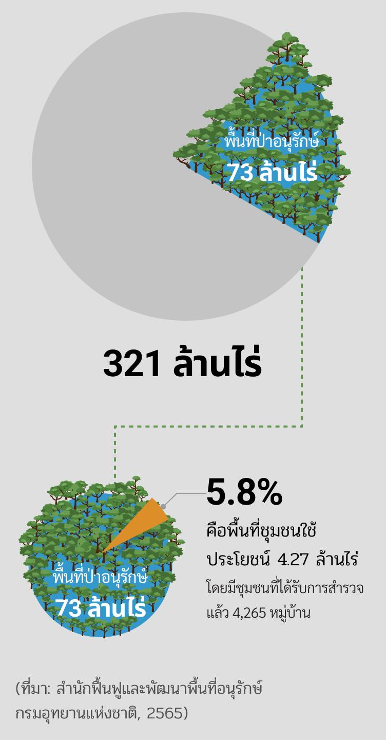 ประเทศไทยมีพื้นที่ป่าอนุรักษ์ราว 73 ล้านไร่