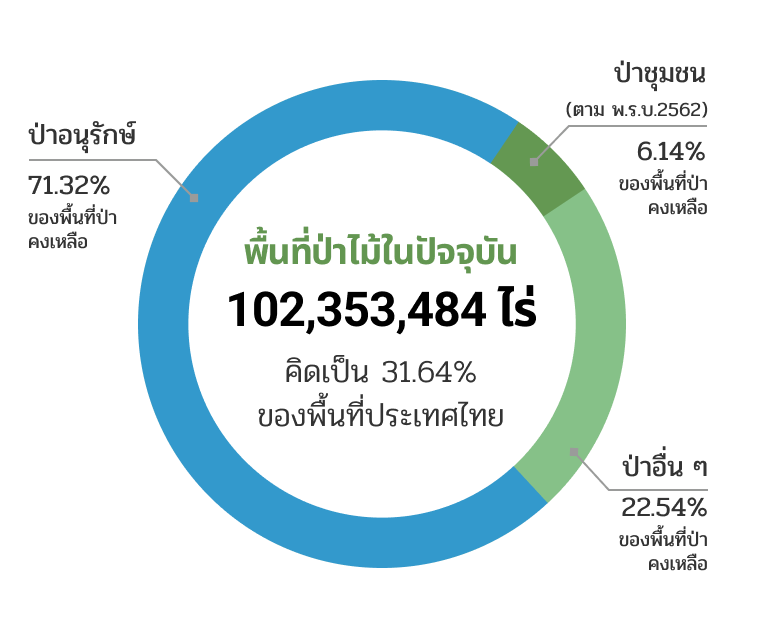 พื้นที่ป่าไม้ในปัจจุบัน